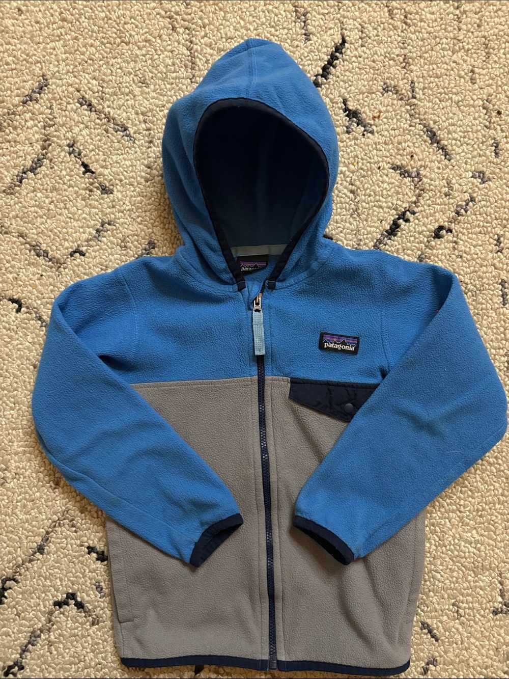 Patagonia Kids Fleece Jacket (4T) EUC